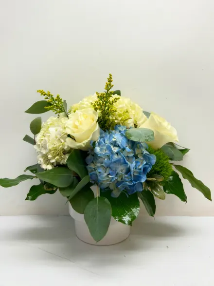 White roses with white and blue hydrangea and eucalyptus in a white ceramic pot